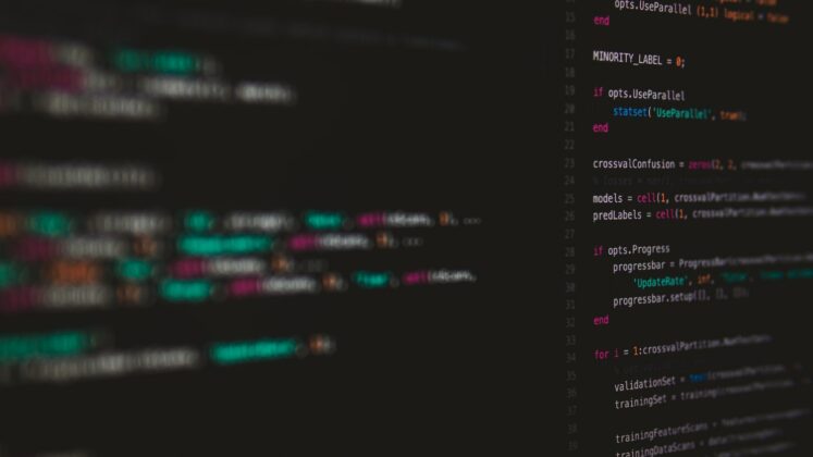 Should coding count for foreign language requirements? text