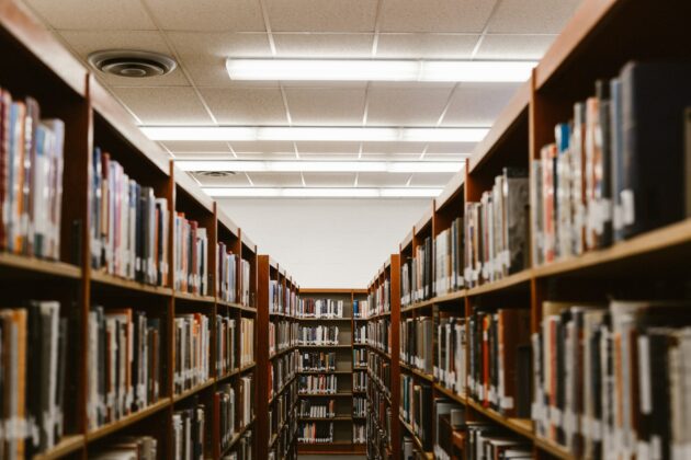 Researchers launch Grambank, shed light on language loss shallow focus photography of bookshelfs