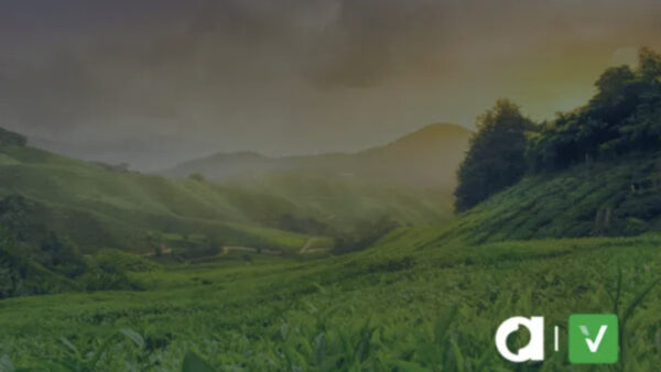 Argos-Multilingual-Sustainability