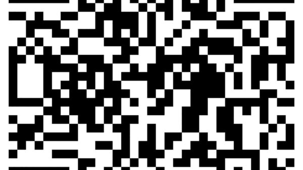 217_Pantcheva_Qr_1