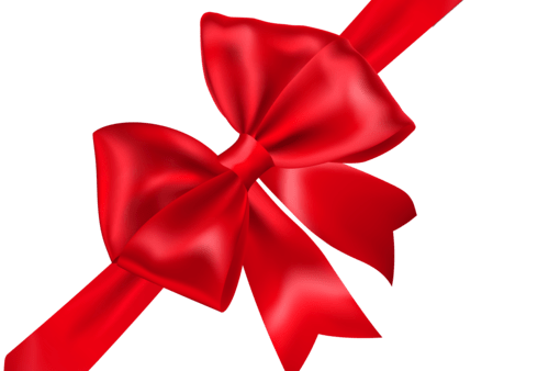 Red_Bow_Transparent_PNG_Image (1)