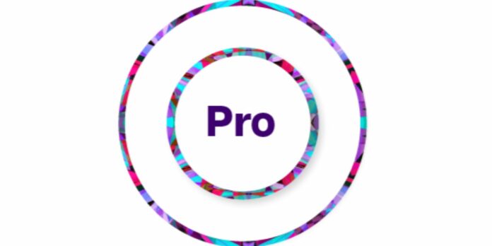 RWS Language Weaver Pro