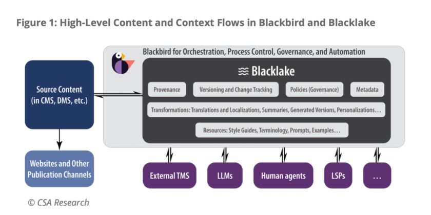CSA research vendor briefing example within the Blacklake platform