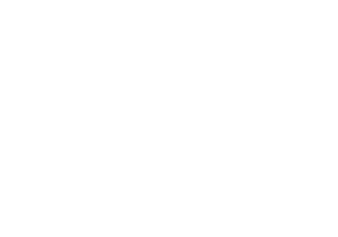 Logo Mark Reverse