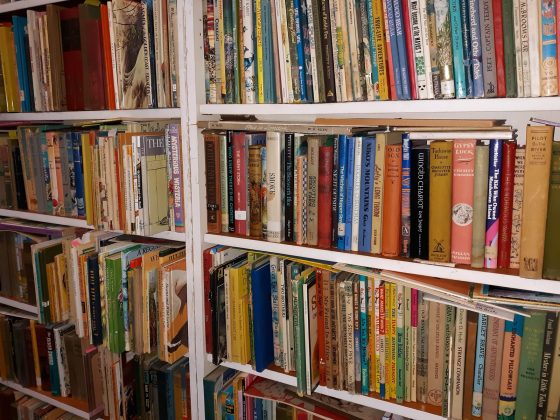 The Legal Battle over a Translation of Pippi Longstocking books on brown wooden shelf