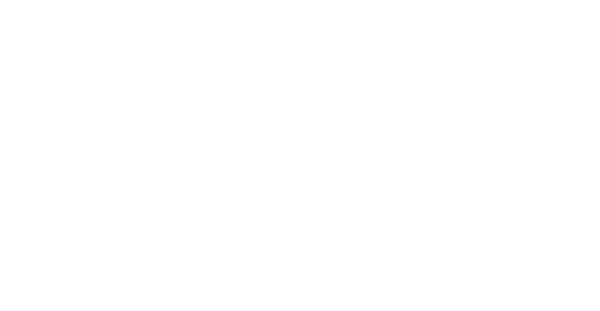 plunet-logo-09-2020